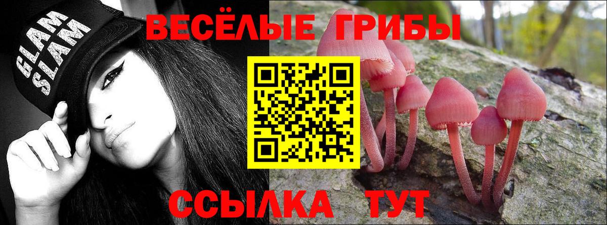 Псилоцибиновые грибы Cubensis  Галлюциногенные грибы ЛСД  Елец  Вход с VPN 